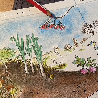 calendrier-a-colorier coloriage calendrier du potager